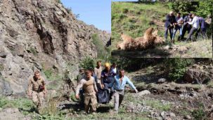 Olur'da ayı saldırısı; Çoban da ayı da öldü