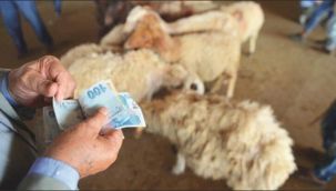 Sahte paraya dikkat!