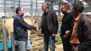 Kurban hareketliliği başladı