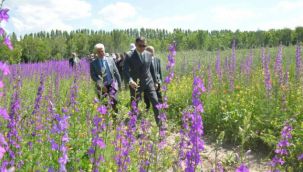  Svatlar törenle çiftçilere dağıtıldı