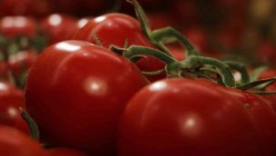 O domates raflarda yerini aldı