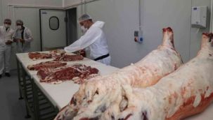 Seri üretime geçildi