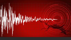 Tercan'da deprem; 4.4