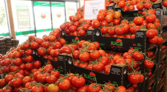 Türkiye'nin en ucuz salkım domatesi Aziziye'de