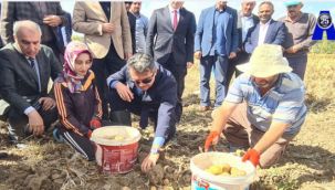 Pasinler'de Hasat Bayramı