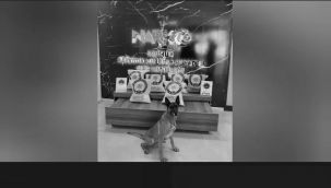 Uyuşturucuyu gemi krank millerine zulalamışlar