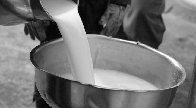 İspir'de soğuk süt projesi