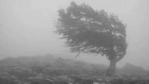 Rüzgâr ve fırtına etkili oluyor