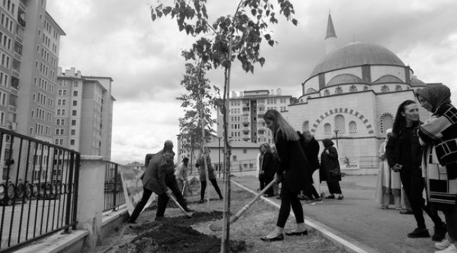 Nene Hatun Aile Sağlığı Merkezi çevresi ağaçlandırıldı