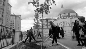Nene Hatun Aile Sağlığı Merkezi çevresi ağaçlandırıldı