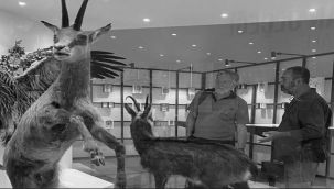 Biyoçeşitlilik Bilim Müzesinde Araştırma