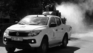 Büyükşehir'den ilaçlama çalışması