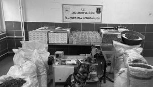 Erzurum'da kaçak tütün operasyonu