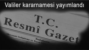 Erzurum'dan Memiş gitti, Çitçi geldi