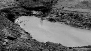 Hınıs'ta 2 çocuk sulama göletinde boğuldu