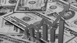 Döviz mevduatında 481 milyon dolar artış