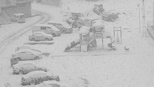 Erzurum'un bazı ilçelerinde okullar tatil