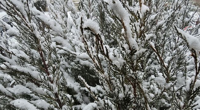 Erzurum'da gündüz tipi gece don...