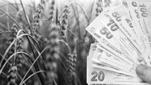 Tarımsal destekleme paraları bugün yatıyor