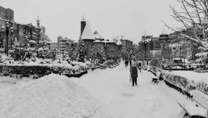 Erzurum'da kar etkili oluyor