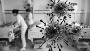 Onlar neden koronavirüse yakalanmadılar