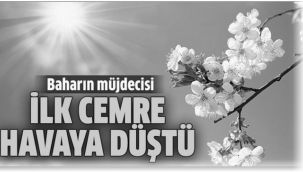 Bahar göründü...