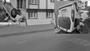 Bahçe duvarını aştı...