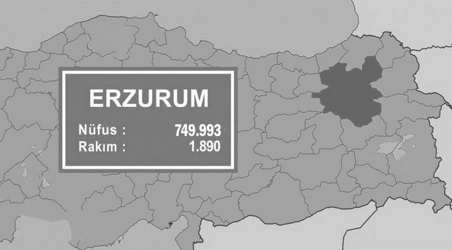 Erzurum'da nüfus azalıyor...