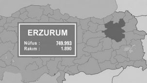 Erzurum'da nüfus azalıyor...