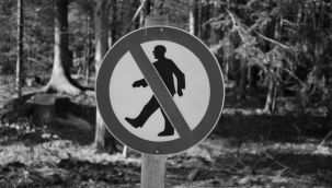 Ormanlara giriş yasağı