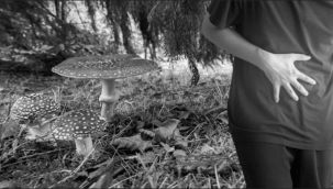 Erzurum'da mantar zehirlenmesi