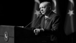 Fidan: "Cumhurbaşkanımız insanlık vicdanının sesi olmuştur"