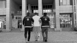 Otomobilin bagajından çıktı