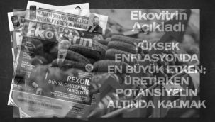 Yüksek enflasyonun sebebi...