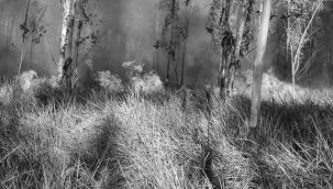 İspir'de orman yangını