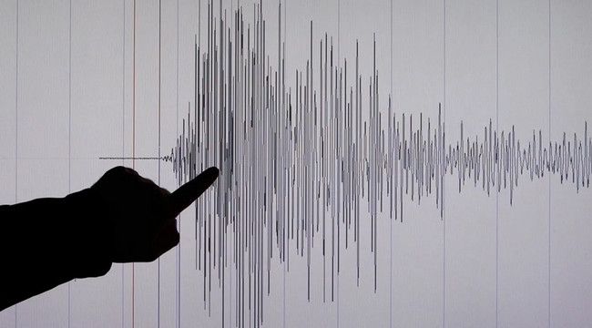 Muş ve Bingöl'deki depremler çevre illerden de hissedildi