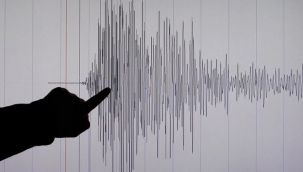 Muş ve Bingöl'deki depremler çevre illerden de hissedildi