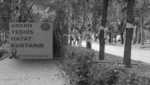 Atatürk Üniversitesi yerleşkesi pembeye büründü