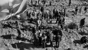 Palandöken'e 60 bin fidan daha...