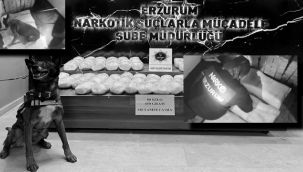 Erzurum'da 80 kilo metafetamin ele geçirildi