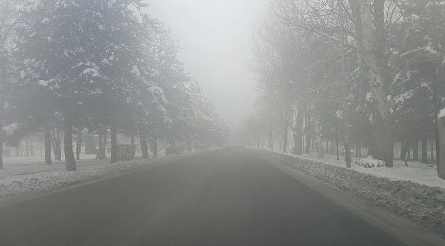 Erzurum'da sis etkili oldu