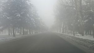 Erzurum'da sis etkili oldu