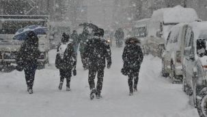 Erzurum'da yarın okullar tatil