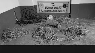 Elektrik malzemesi hırsızları yakalandı