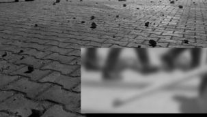 Güzelova'da kavga...