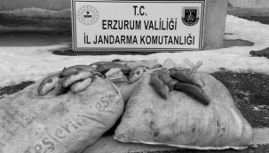 Sazancı sazanlara suçüstü...