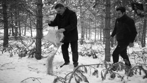 Vali Çiftçi doğaya yem bıraktı