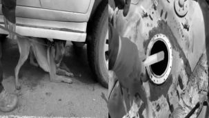 Akaryakıt deposuna zulalanmış...