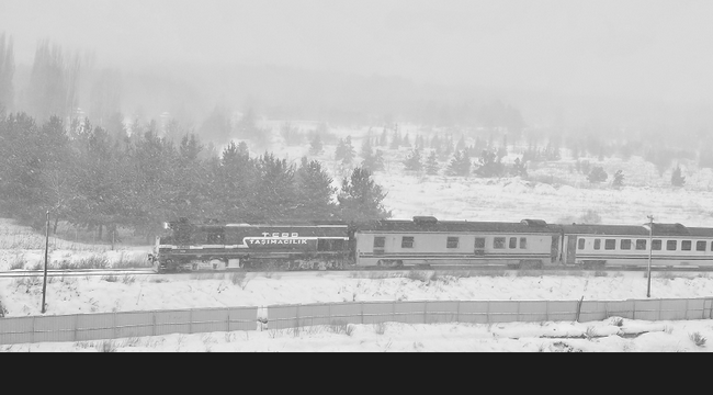 Erzurum'da sis ve soğuk hava...