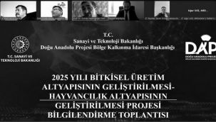 DAP destekli projeler ele alındı...